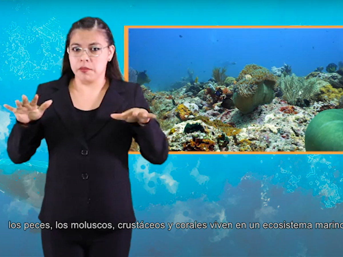 Alfabetización digital orientada a niños de educación básica con discapacidad: Contenidos&nbsp;multimedia