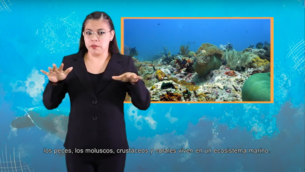 Alfabetización digital orientada a niños de educación básica con discapacidad: Contenidos multimedia